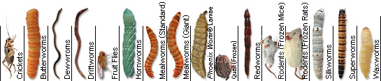 Feeding Chart Guide organized by product type