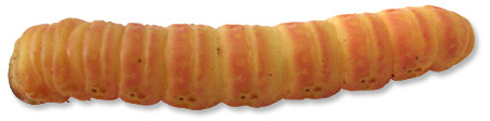 Butterworm